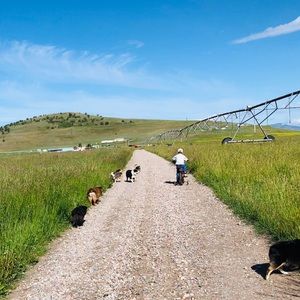 Meet your Posher, Cindy